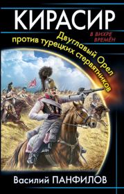 Кирасир-Двуглавый Орёл против турецких стервятников. Василий Сергеевич Панфилов