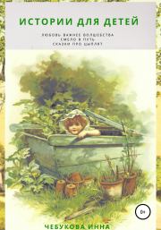 Истории для детей. Сказки про цыплят. Смело в путь. Любовь важнее волшебства. Инна Александровна Чебукова