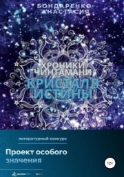 Хроники Чинтамани. Кристалл Истины. Анастасия Сергеевна Бондаренко