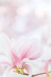 Маленькая вредная изумрудная дракошка. Ксения Николаевна Баштовая