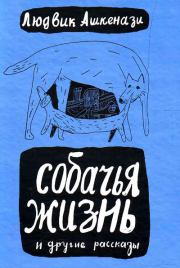 Яичко. Людвик Ашкенази