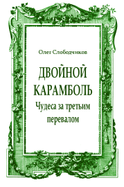 Книга - Двойной карамболь.  Олег Васильевич Слободчиков  - прочитать полностью в библиотеке КнигаГо
