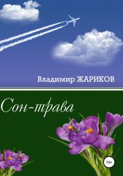 Книга - Сон-трава.  Владимир Андреевич Жариков  - прочитать полностью в библиотеке КнигаГо