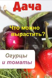 Книга - Что можно вырастить? Огурцы и томаты.  Илья Мельников  - прочитать полностью в библиотеке КнигаГо
