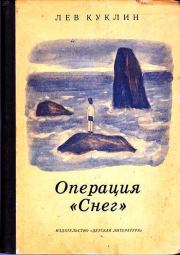 Операция "Снег". Лев Валерианович Куклин