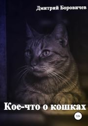 Книга - Кое-что о кошках.  Дмитрий Боровичев  - прочитать полностью в библиотеке КнигаГо