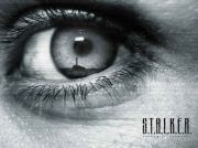 Чья земля, того и вера (СИ). Татьяна Юрьевна Сальникова