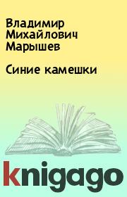 Книга - Синие камешки.  Владимир Михайлович Марышев  - прочитать полностью в библиотеке КнигаГо