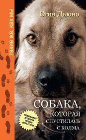 Книга - Собака, которая спустилась с холма. Незабываемая история Лу, лучшего друга и героя.  Стив Дьюно  - прочитать полностью в библиотеке КнигаГо