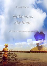 Книга - Небесная Любовь.  Виктор Зотов  - прочитать полностью в библиотеке КнигаГо