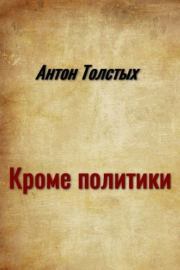 Книга - Кроме политики.  Антон Толстых  - прочитать полностью в библиотеке КнигаГо