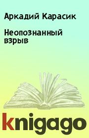 Книга - Неопознанный взрыв.  Аркадий Карасик  - прочитать полностью в библиотеке КнигаГо