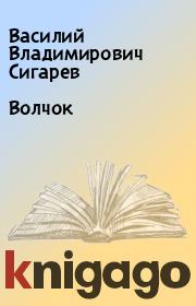 Волчок. Василий Владимирович Сигарев