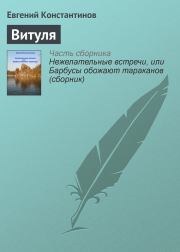 Книга - Витуля.  Евгений Михайлович Константинов  - прочитать полностью в библиотеке КнигаГо
