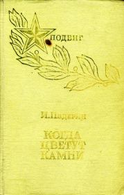 Книга - Когда цветут камни.  Иван Григорьевич Падерин  - прочитать полностью в библиотеке КнигаГо