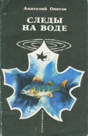 Книга - Вода, настоянная на чернике.  Анатолий Сергеевич Онегов  - прочитать полностью в библиотеке КнигаГо
