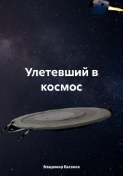 Книга - Улетевший в космос.  Владимир Ваганов  - прочитать полностью в библиотеке КнигаГо