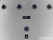 Слон и Моська. Иван Андреевич Крылов