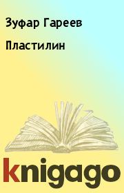 Книга - Пластилин.  Зуфар Гареев  - прочитать полностью в библиотеке КнигаГо