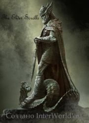 Сборник книг вселенной The Elder Scrolls.  Автор неизвестен - Фантастика