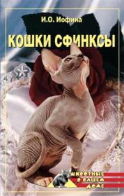 Книга - Кошки – сфинксы.  Дарья Владимировна Нестерова  - прочитать полностью в библиотеке КнигаГо