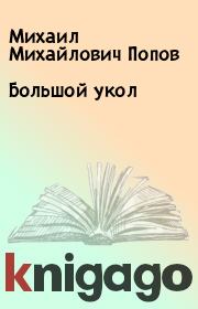 Книга - Большой укол.  Михаил Михайлович Попов  - прочитать полностью в библиотеке КнигаГо