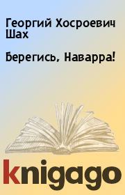 Книга - Берегись, Наварра!.  Георгий Хосроевич Шах  - прочитать полностью в библиотеке КнигаГо