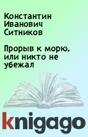 Книга - Прорыв к морю, или никто не убежал.  Константин Иванович Ситников  - прочитать полностью в библиотеке КнигаГо