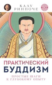 Книга - Практический буддизм. Том V. Простые шаги к глубокому опыту.  Калу Ринпоче  - прочитать полностью в библиотеке КнигаГо