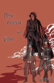 Гарри, который не Поттер. Аня Творцова (Optemus)