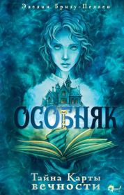 Тайна Карты вечности. Эвелин Бризу-Пеллен