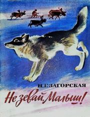 Не зевай, Малыш!. Наталья Георгиевна Загорская