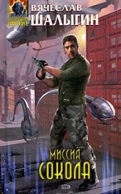 Миссия Сокола. Вячеслав Владимирович Шалыгин