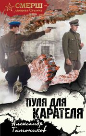 Книга - Пуля для карателя.  Александр Александрович Тамоников  - прочитать полностью в библиотеке КнигаГо