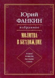 Книга - Соловьём залётным....  Юрий Александрович Фанкин  - прочитать полностью в библиотеке КнигаГо