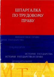Книга - Шпаргалка по трудовому праву.  Руслан Ильдарович Латыпов  - прочитать полностью в библиотеке КнигаГо