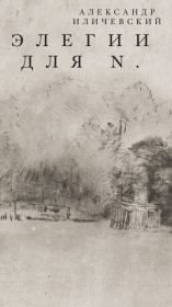Элегии для N.. Александр Викторович Иличевский