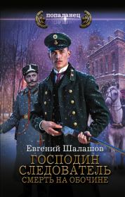 Господин следователь. Смерть на обочине. Евгений Васильевич Шалашов