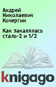 Книга - Как закалялась сталь-2 и 1/2.  Андрей Николаевич Кочергин  - прочитать полностью в библиотеке КнигаГо