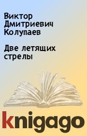Книга - Две летящих стрелы.  Виктор Дмитриевич Колупаев  - прочитать полностью в библиотеке КнигаГо