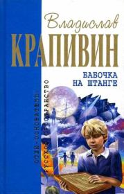 Книга - Бабочка на штанге.  Владислав Петрович Крапивин  - прочитать полностью в библиотеке КнигаГо
