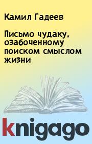 Письмо чудаку, озабоченному поиском смыслом жизни. Камил Гадеев