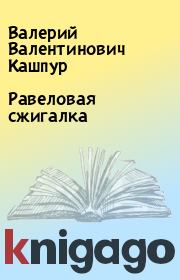 Книга - Равеловая сжигалка.  Валерий Валентинович Кашпур  - прочитать полностью в библиотеке КнигаГо