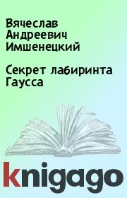 Книга - Секрет лабиринта Гаусса.  Вячеслав Андреевич Имшенецкий  - прочитать полностью в библиотеке КнигаГо