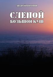 Слепой. Большой куш. Андрей Воронин