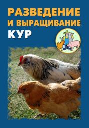 Разведение и выращивание кур. Илья Мельников