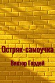 Книга - Остряк-самоучка.  Виктор Борисович Гордей  - прочитать полностью в библиотеке КнигаГо