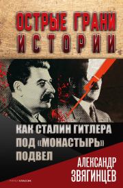 Книга - Как Сталин Гитлера под «Монастырь» подвел.  Александр Григорьевич Звягинцев  - прочитать полностью в библиотеке КнигаГо