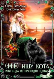 (Не) ищу кота, или Беда не приходит одна (СИ). Сима Гольдман