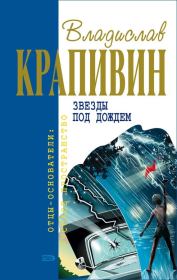 Книга - Звёзды под дождём.  Владислав Петрович Крапивин  - прочитать полностью в библиотеке КнигаГо